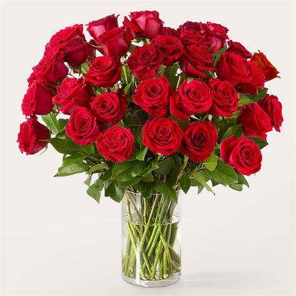 The One Red Rose Bouquet –  Hurst Florist, Callahan FL