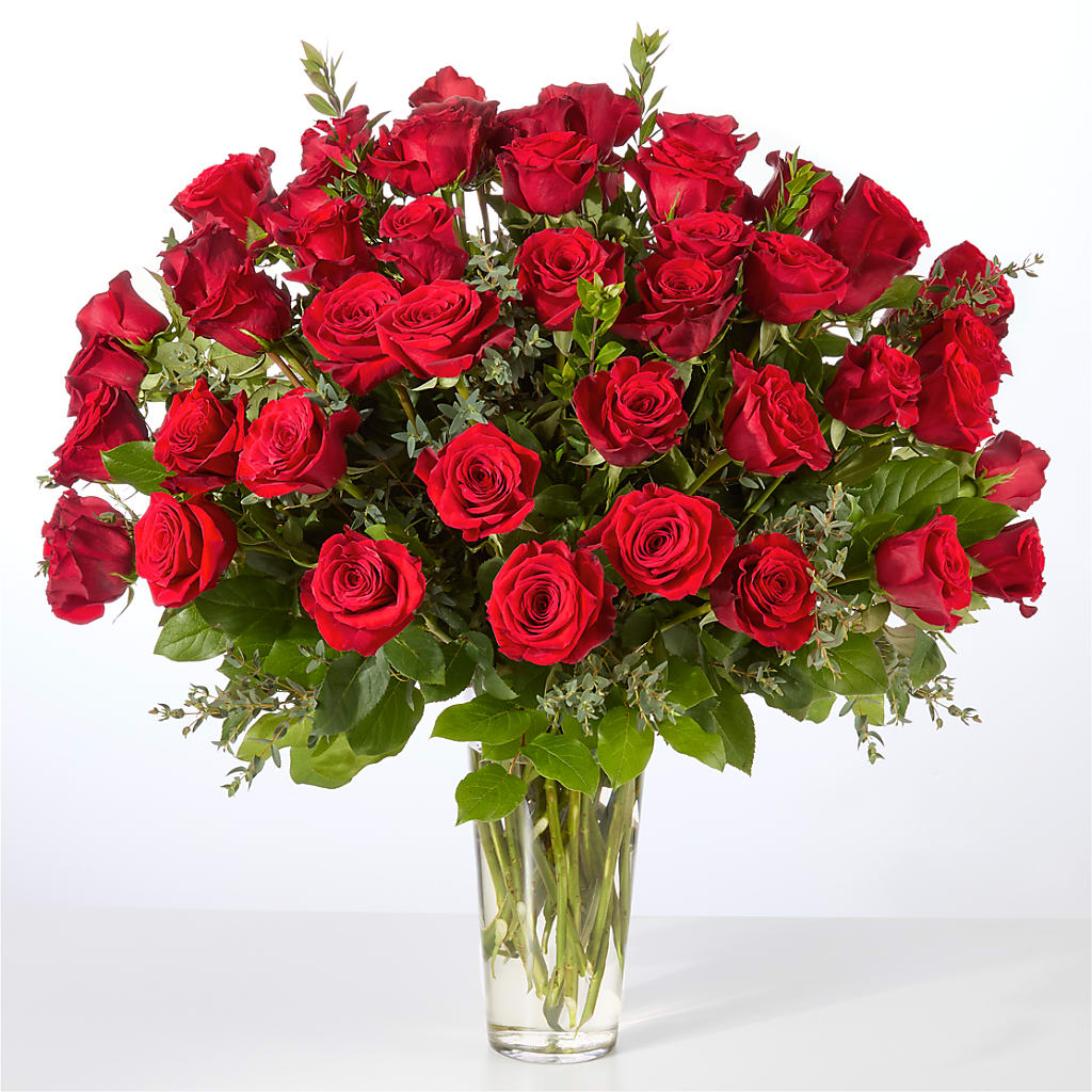 Forever Yours Fifty Stem Red Rose Bouquet –  Hurst Florist, Callahan FL