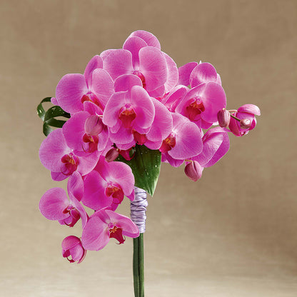 Glorious Bouquet –  Hurst Florist, Callahan FL