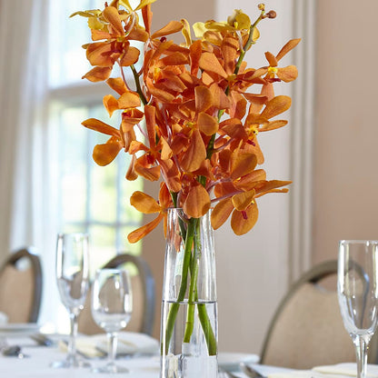 Orange Mokara Bud Vase –  Hurst Florist, Callahan FL