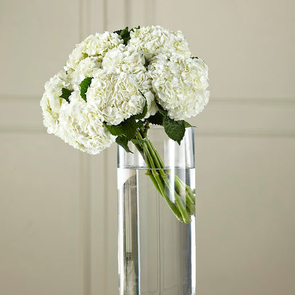 White Hydrangea Hand-Tied Bouquet –  Hurst Florist, Callahan FL