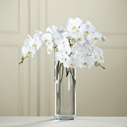 White Phalaenopsis Bouquet –  Hurst Florist, Callahan FL
